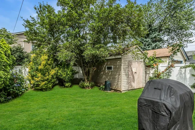 a view of a backyard with plants and large trees