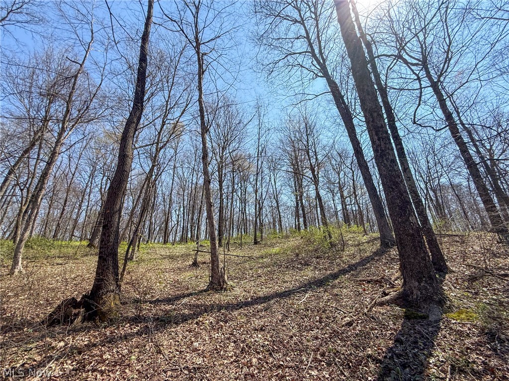 Claysville Road Cumberland, OH 43732 - Photo 24 of 47