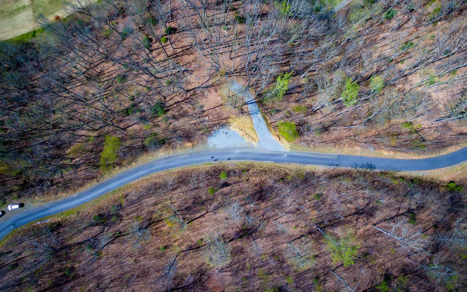 17 M Ridges Hayesville, NC 28904 - Photo 7 of 31 Additional View