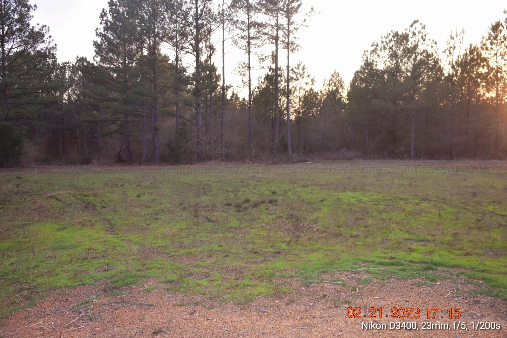 Leonards Chapel Road Carbon Hill, AL 35549 - Photo 37 of 41 Gallery Image 37