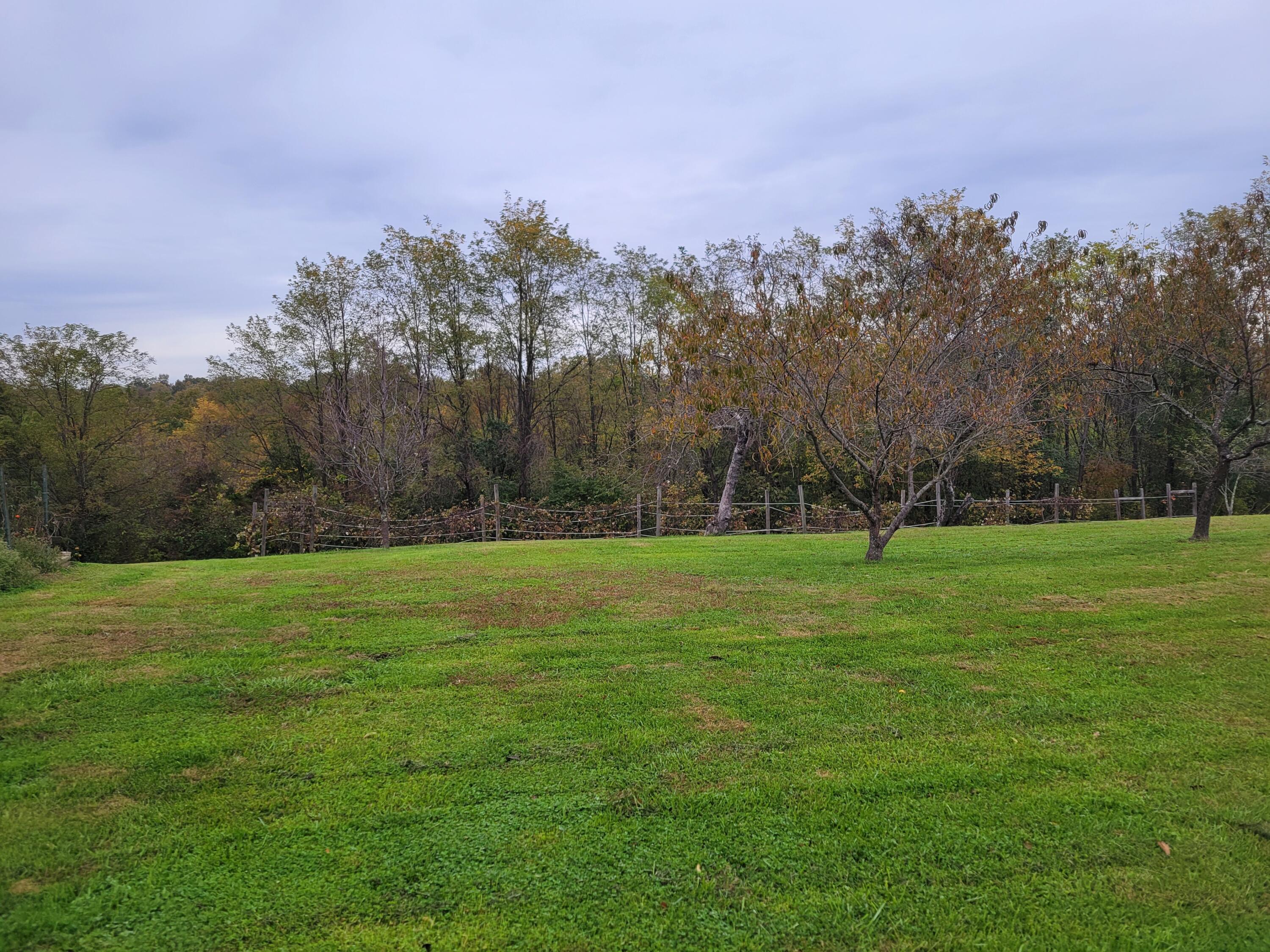 220 Old Eagle Tunl Road Dry Ridge, KY 41035 - Photo 7 of 50
