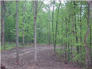 0 Thatcher Road Soddy Daisy, TN 37379 - Photo 1 of 1 Primary Photo