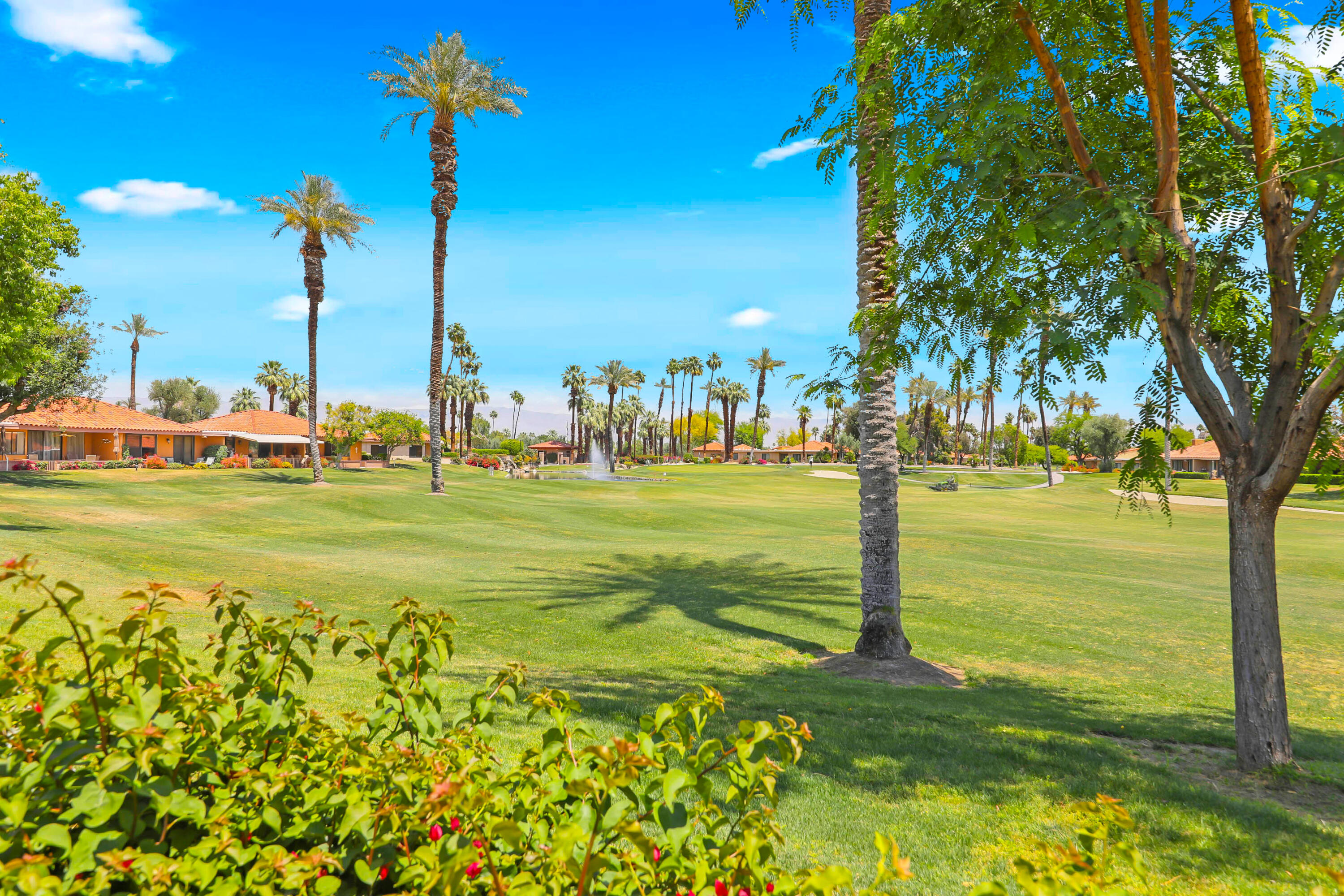 23 Haig Drive Rancho Mirage, CA 92270 - Photo 22 of 49 a big yard with lots of green space and palm trees