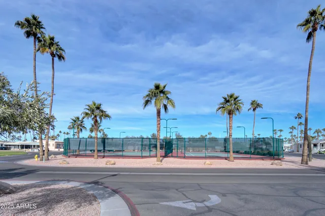 a view of a swimming pool with a bench and palm trees