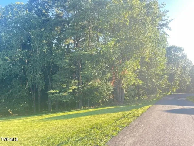 $569,000 | Tbd Tbd Off Warrior/country Acres Lane, Johnson City, TN 37601