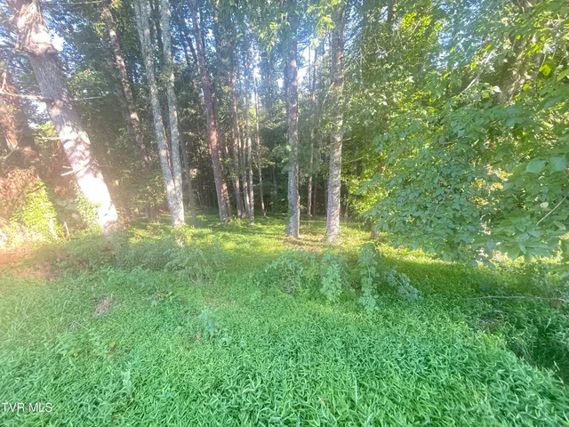 $569,000 | Tbd Tbd Off Warrior/country Acres Lane, Johnson City, TN 37601