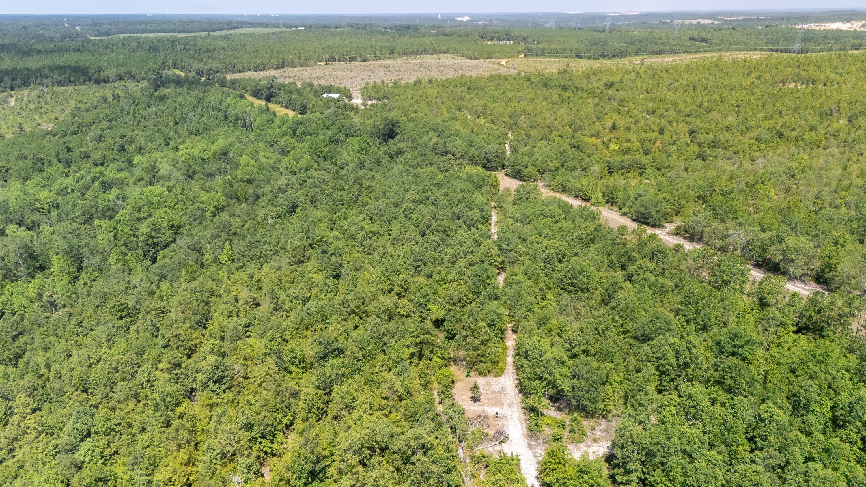 2576 Jessie James Pond Road Wrens, GA 30818 - Photo 14 of 47 15-015-