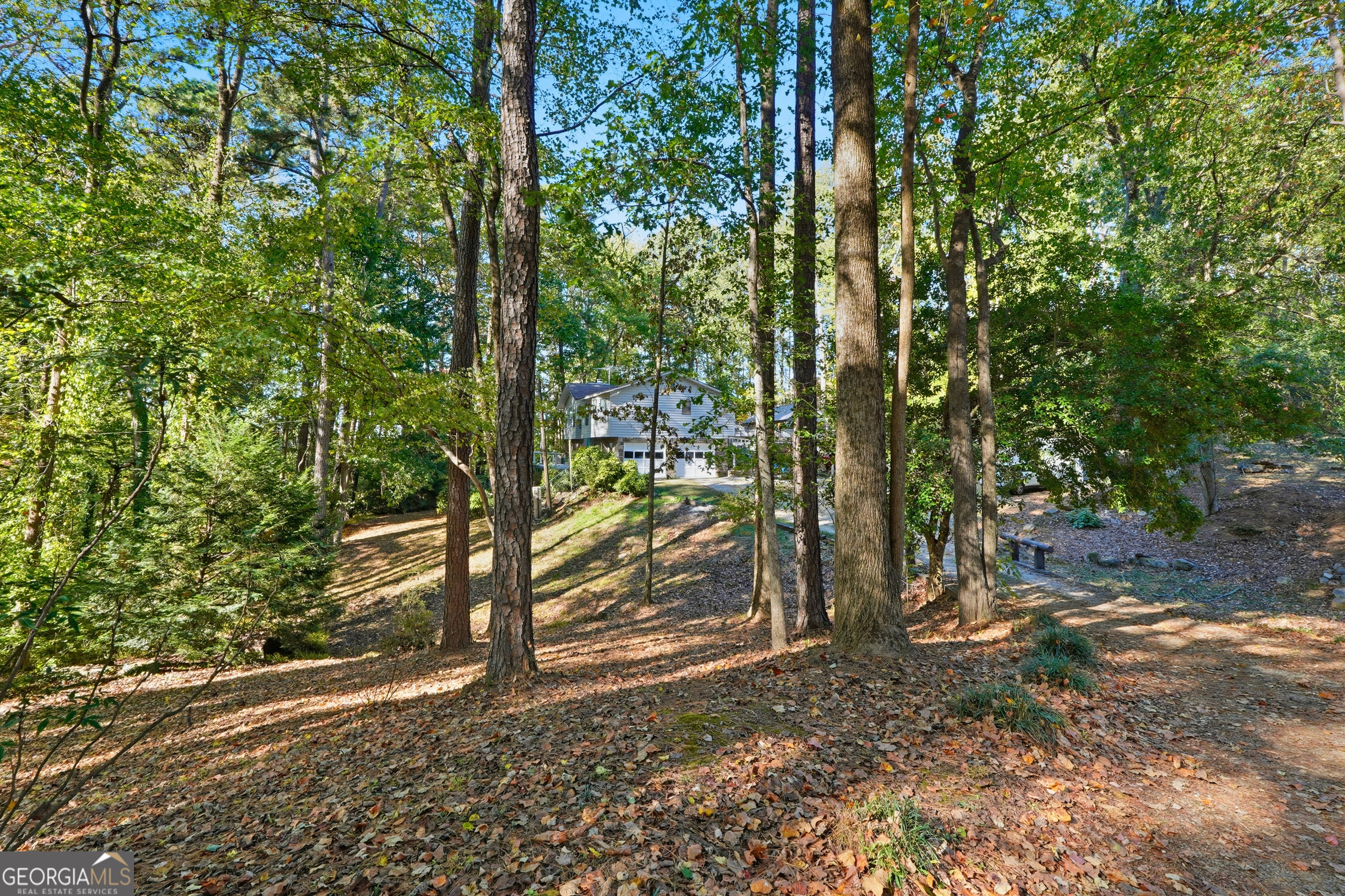 5421 Burdette Road Southeast Mableton, GA 30126 - Photo 57 of 64 a view of a forest filled with trees