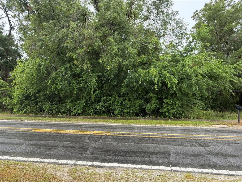 34184 Ridge Manor Boulevard Dade City, FL 33523 - Photo 2 of 7