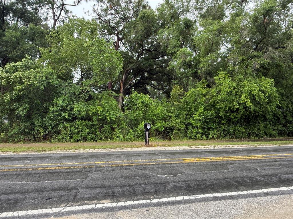 34184 Ridge Manor Boulevard Dade City, FL 33523 - Photo 4 of 7