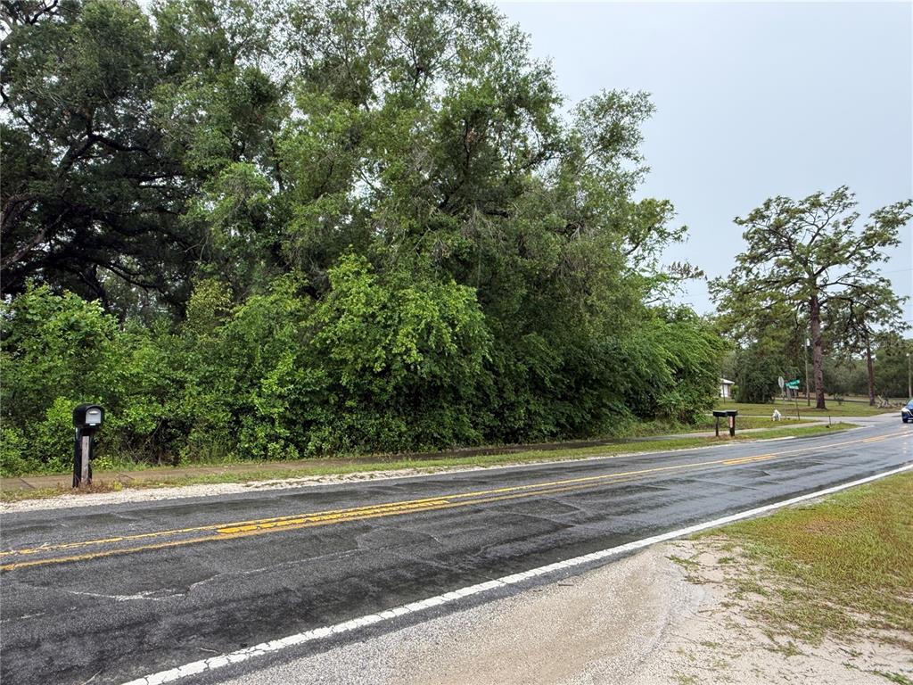 34184 Ridge Manor Boulevard Dade City, FL 33523 - Photo 5 of 7