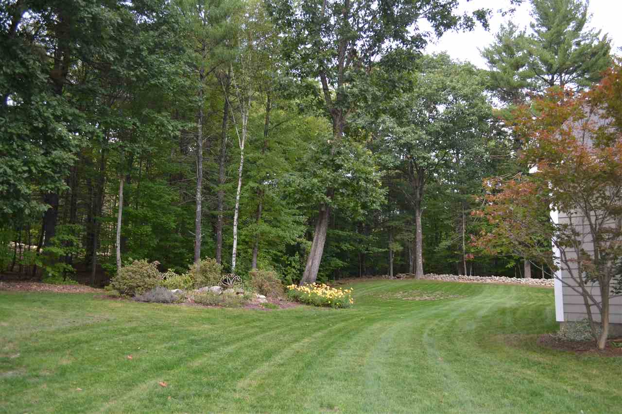 233 Grapevine Road Dunbarton, NH 03046 - Photo 31 of 33