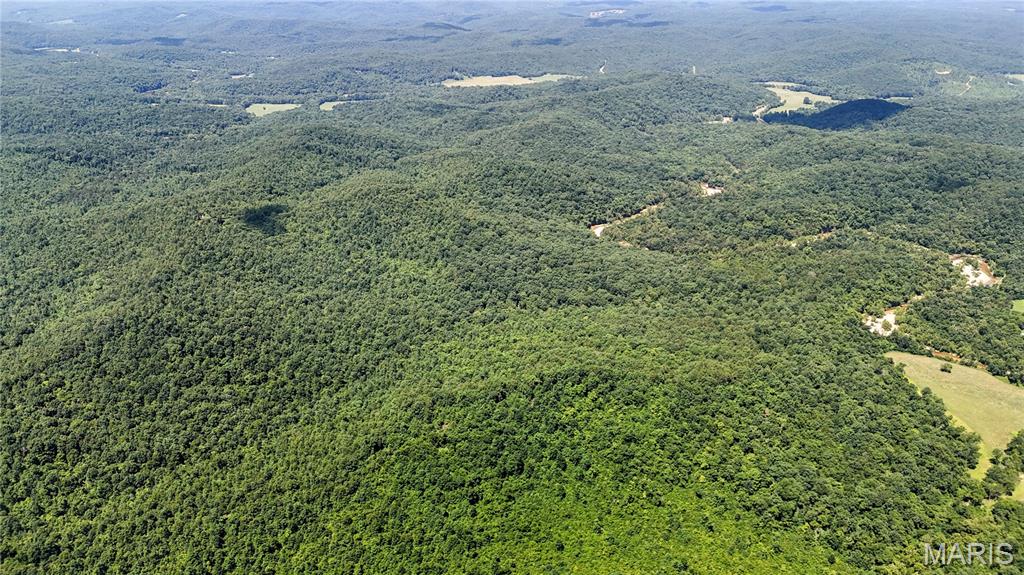 Tbd Tbd Antler Ridge Bunker, MO 63629 - Photo 12 of 26