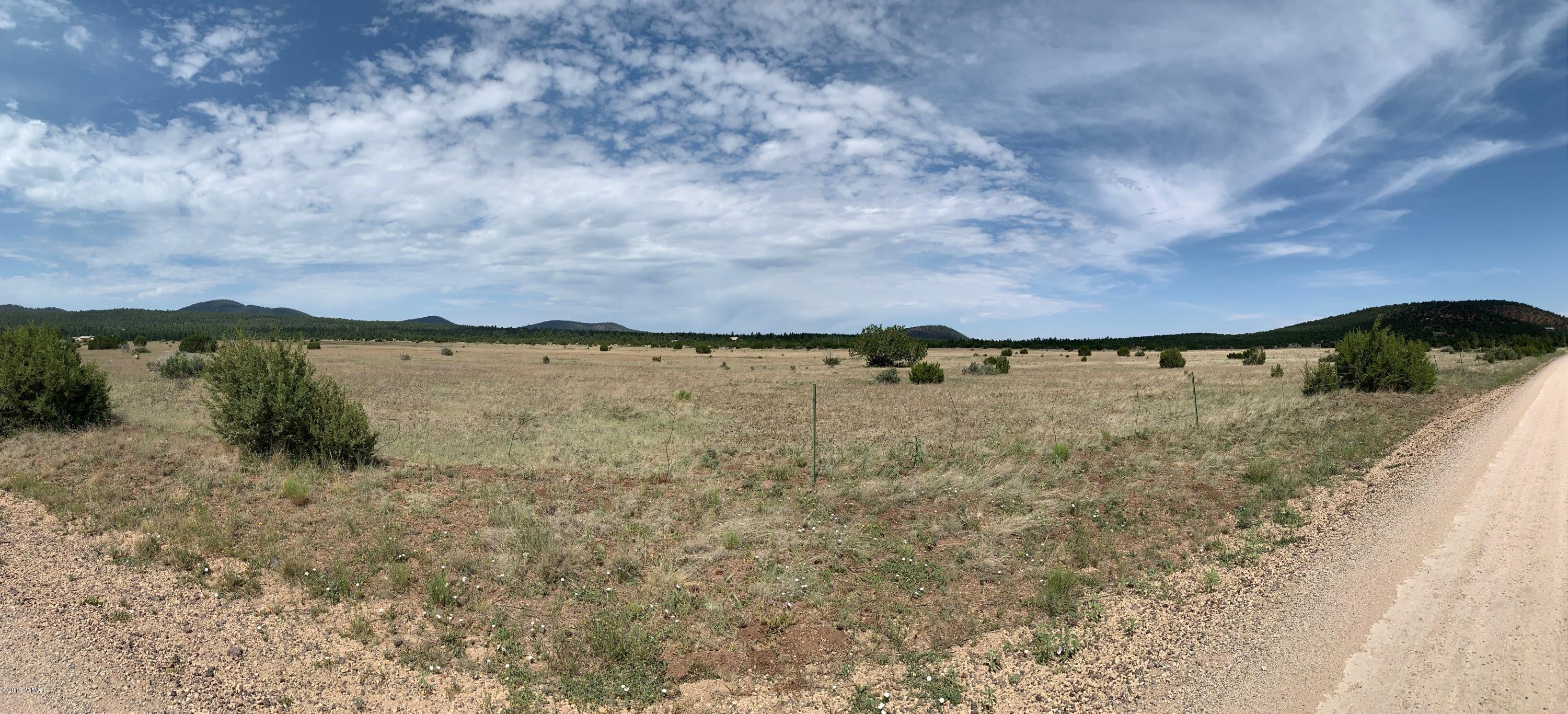 1548 Vernon McNary Road Vernon, AZ 85940 - Photo 1 of 3