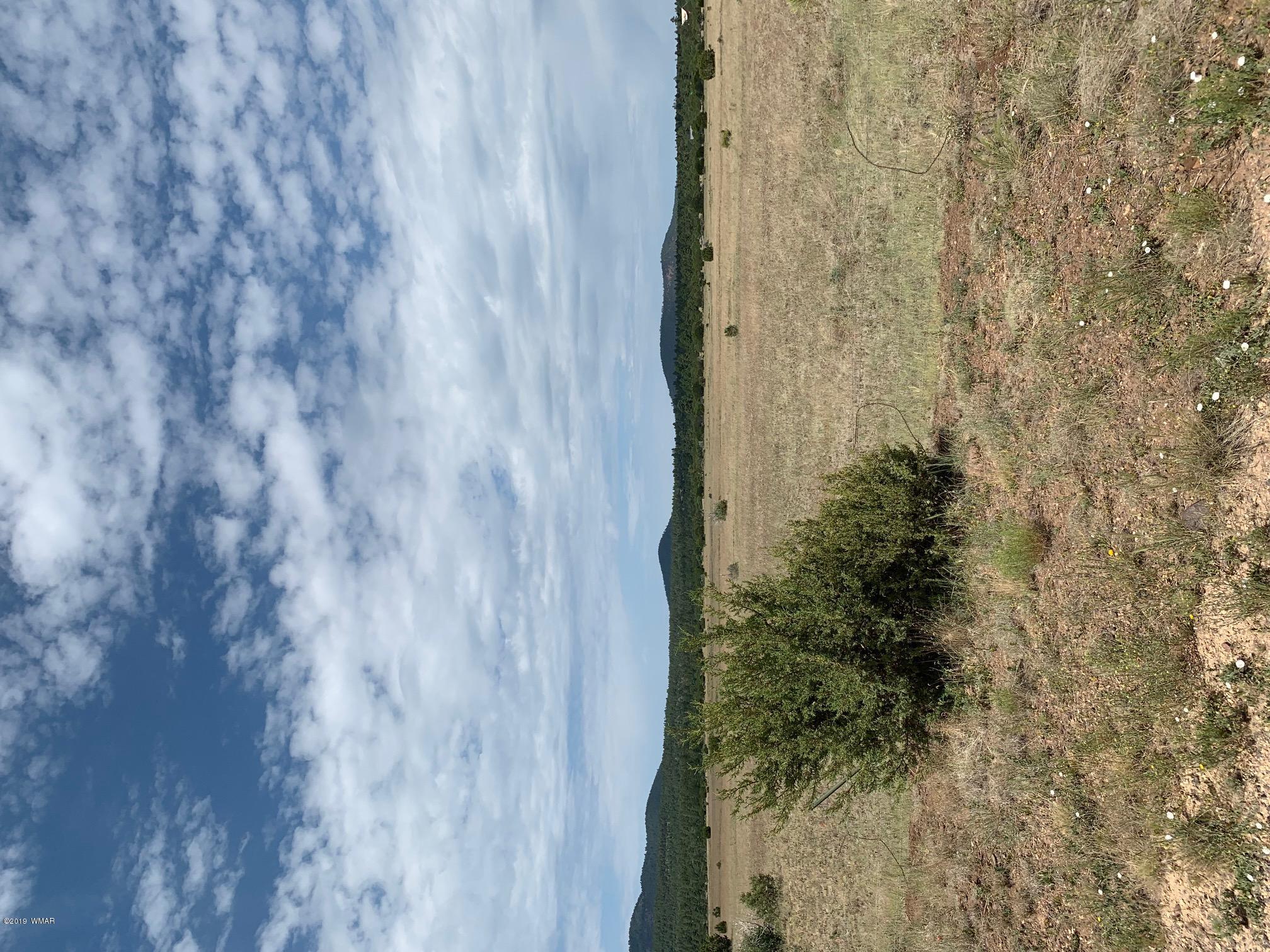 1548 Vernon McNary Road Vernon, AZ 85940 - Photo 3 of 3