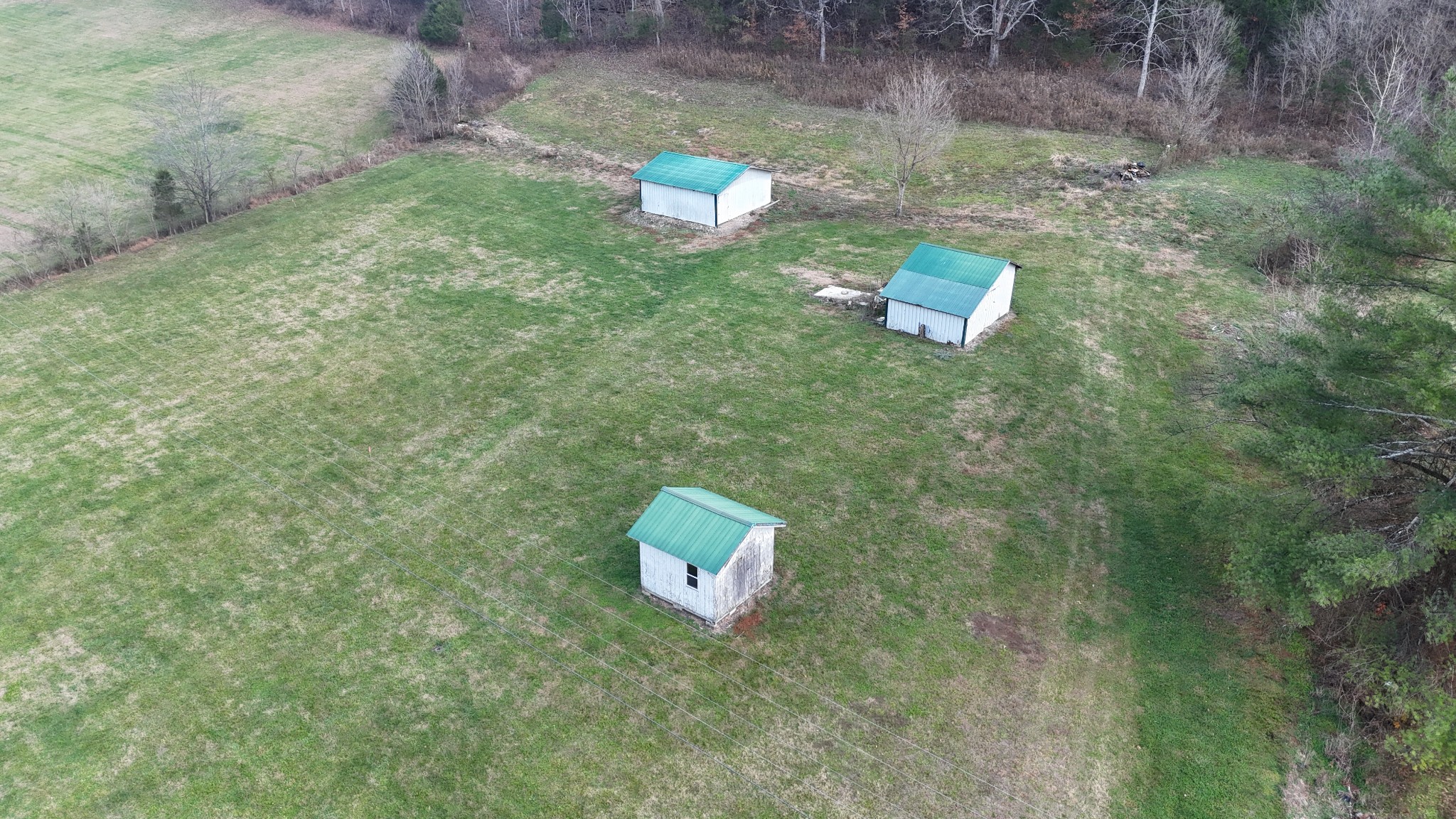 0 Chigger Hollow Road Pleasant Shade, TN 37145 - Photo 8 of 13