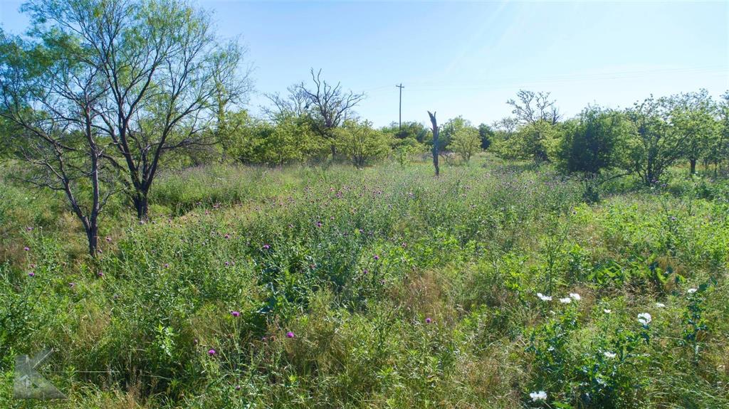 9533 Fm 617 Rochester, TX 79544 - Photo 20 of 25