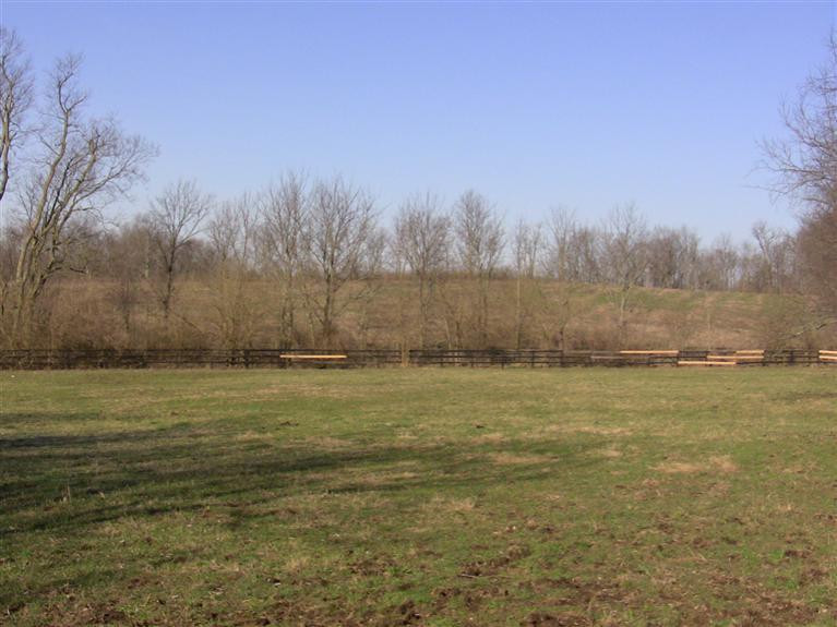 329 Hawkins - Cummins Road Paris, KY 40361 - Photo 6 of 10 Photo 6