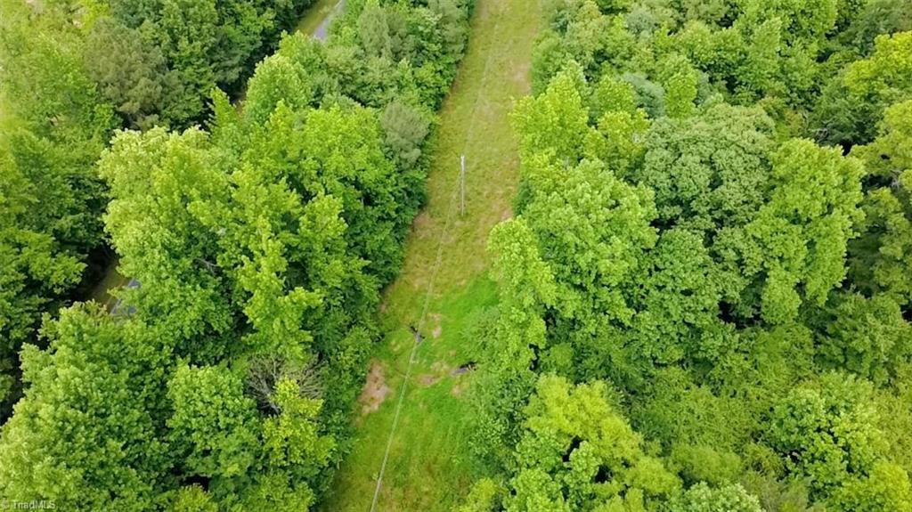 Tbd Tract A Tbd Tract A Bellview Road Robbins, NC 27325 - Photo 2 of 8