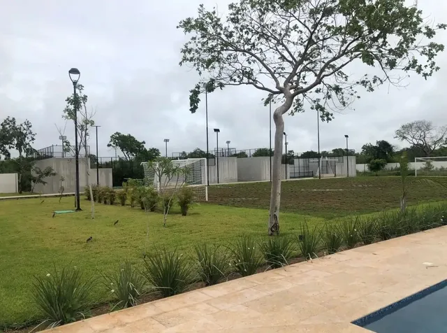 a view of a park with large trees
