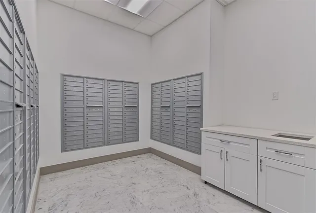 a picture of a yard with plants and palm trees