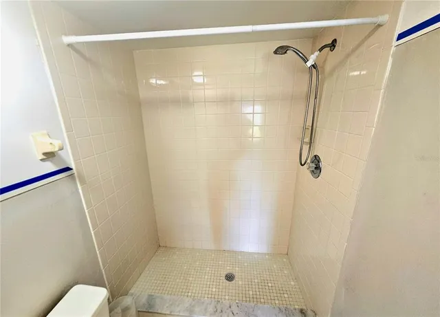 a bathroom with a shower and a toilet