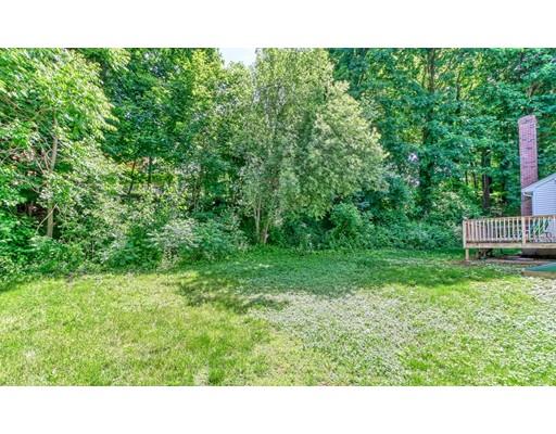 37 Morrison Road West Wakefield, MA 01880 - Photo 26 of 28 Gallery Image 26