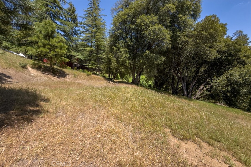 2397 Parmabelle Road Mariposa, CA 95338 - Photo 14 of 34 a view of a yard with a tree