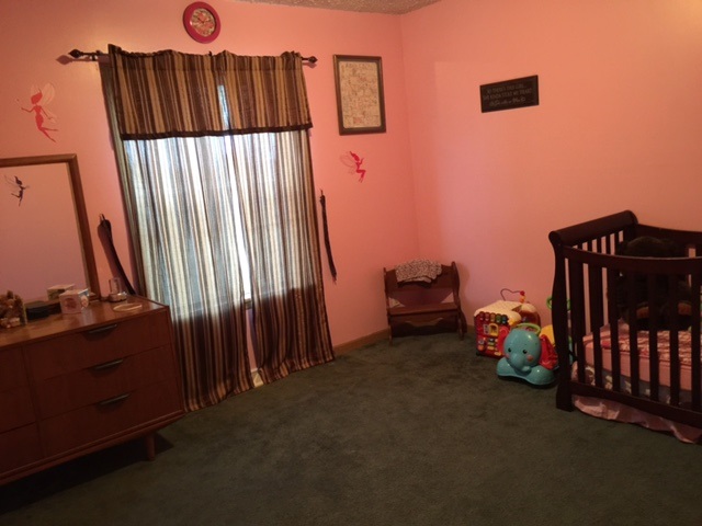 9984 East Pleasant Valley Road Shepherd, MI 48883 - Photo 22 of 31 1812763-21.JPG