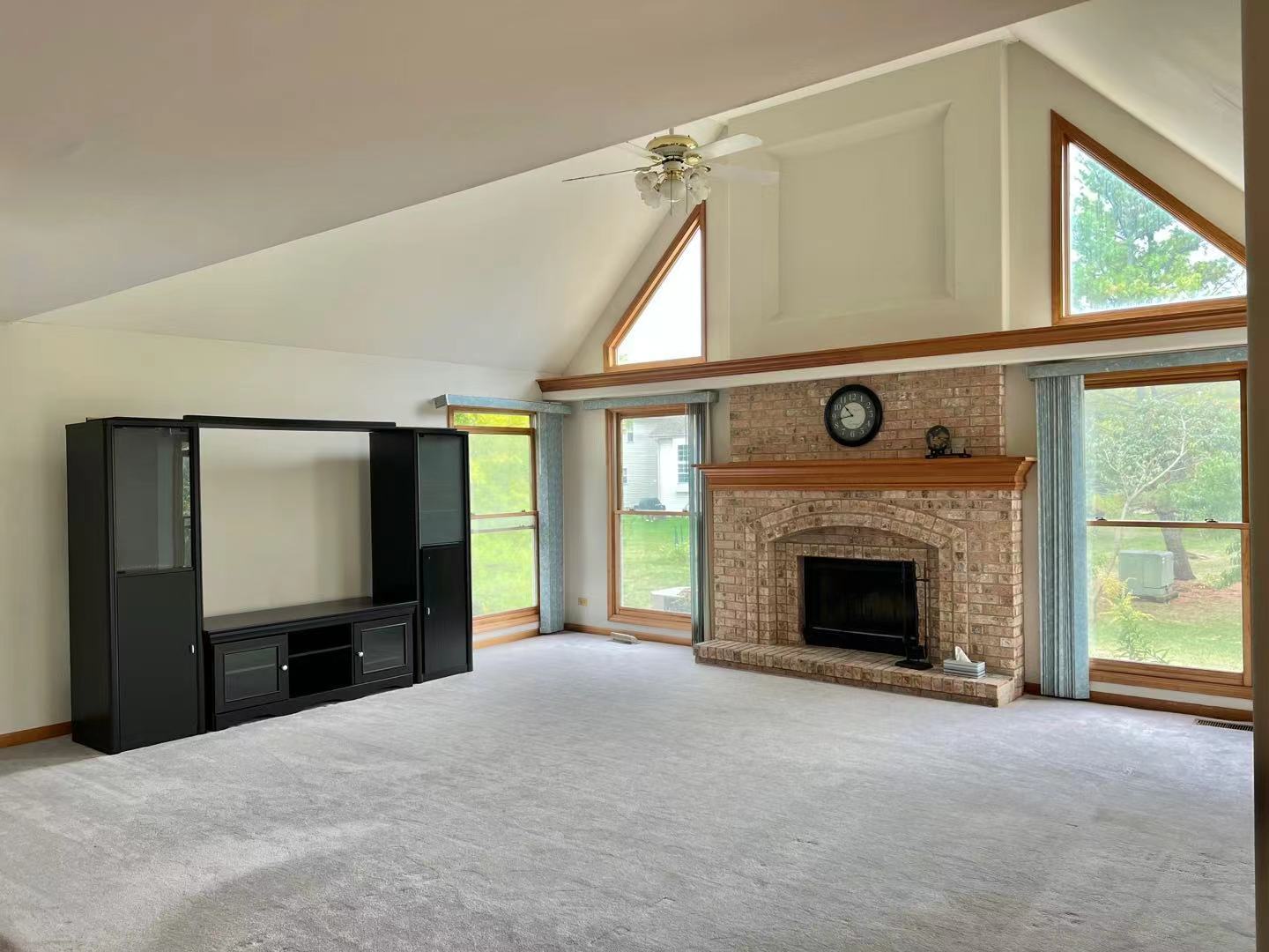 780 Sigmund Road Naperville, IL 60563 - Photo 5 of 20