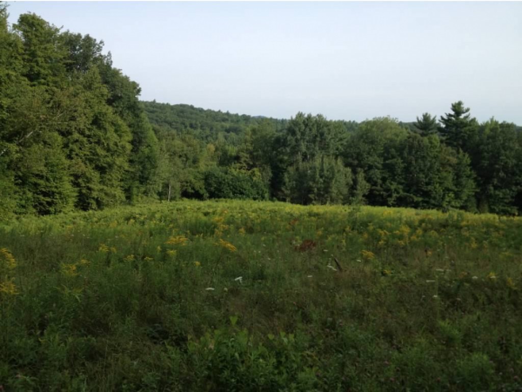 0 Coach Road Greenfield, NH 03047 - Photo 1 of 5
