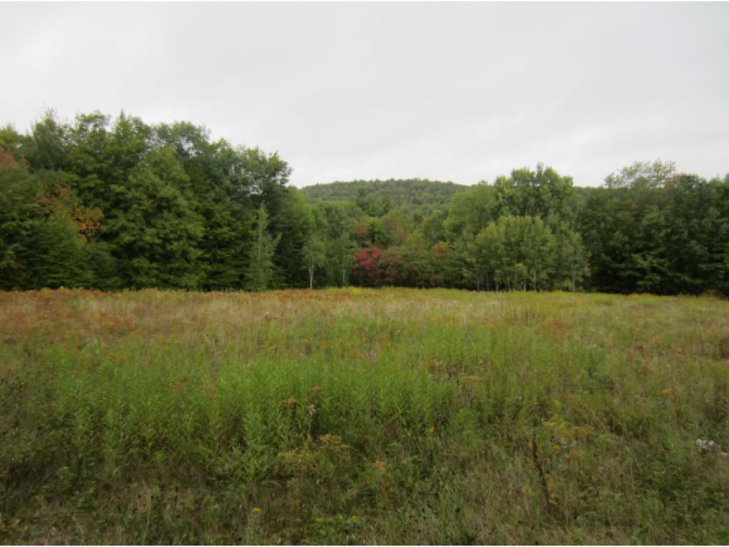 0 Coach Road Greenfield, NH 03047 - Photo 2 of 5