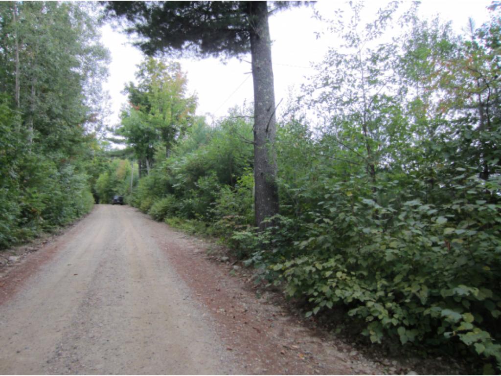 0 Coach Road Greenfield, NH 03047 - Photo 5 of 5