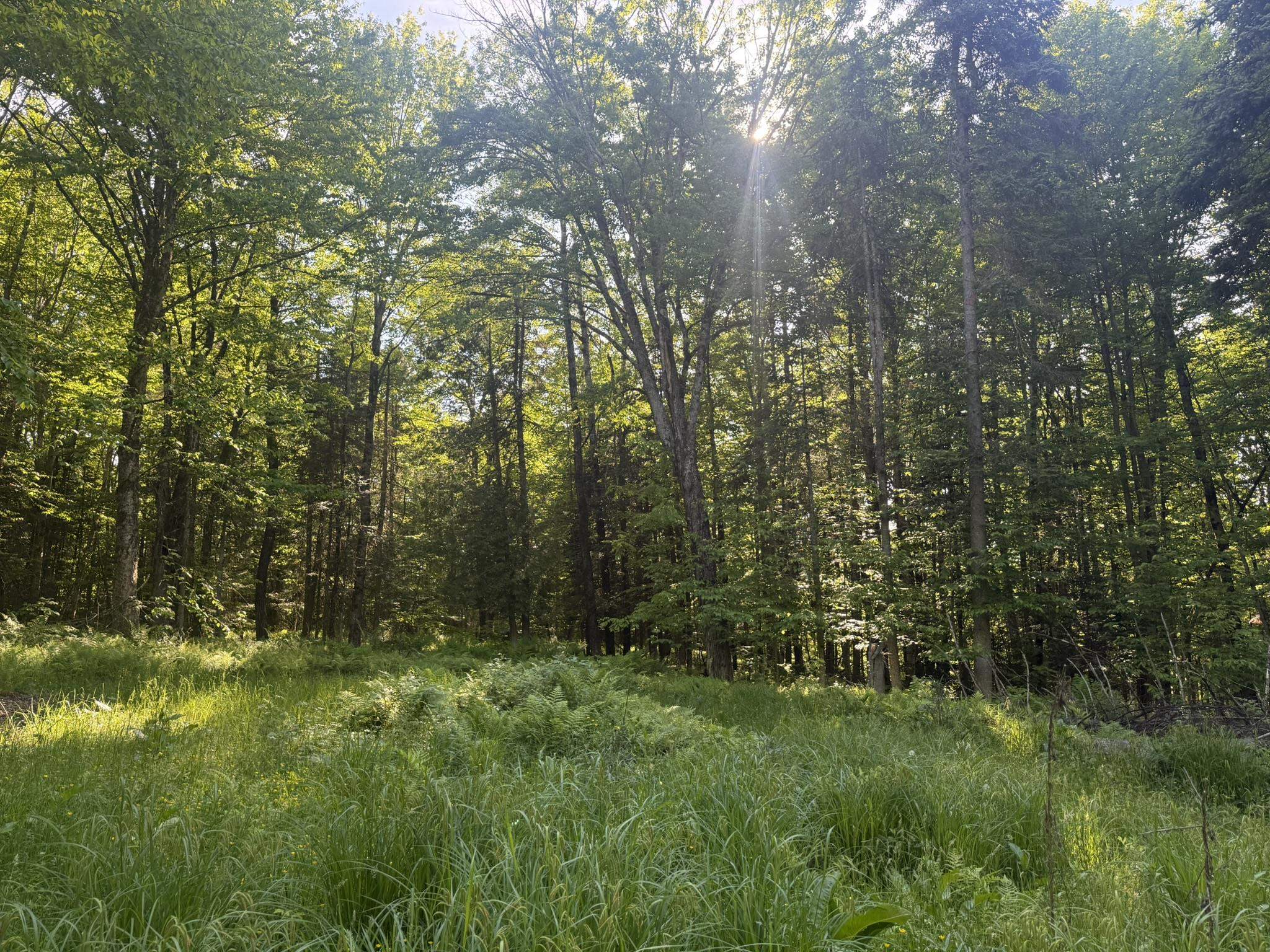 0 Roaring Brook Road Barton, VT 05822 - Photo 15 of 18