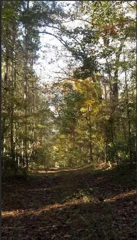 a view of outdoor space