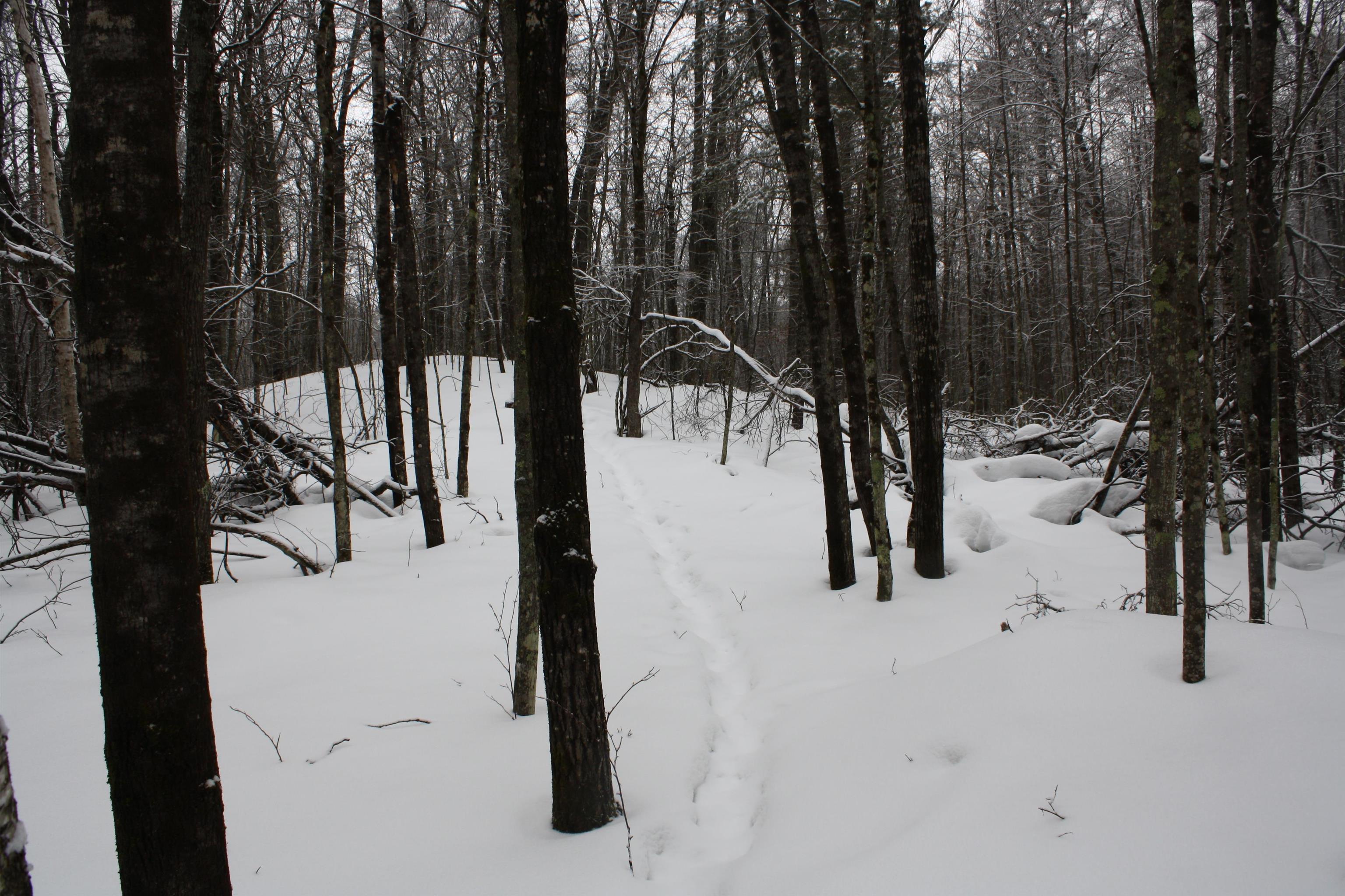 On W Rapids Lake Tomahawk, WI 54539 - Photo 12 of 56