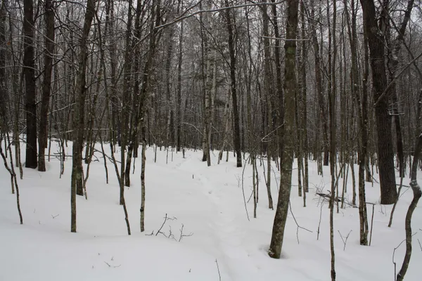 $600,000 | On W Rapids, Lake Tomahawk, WI 54539