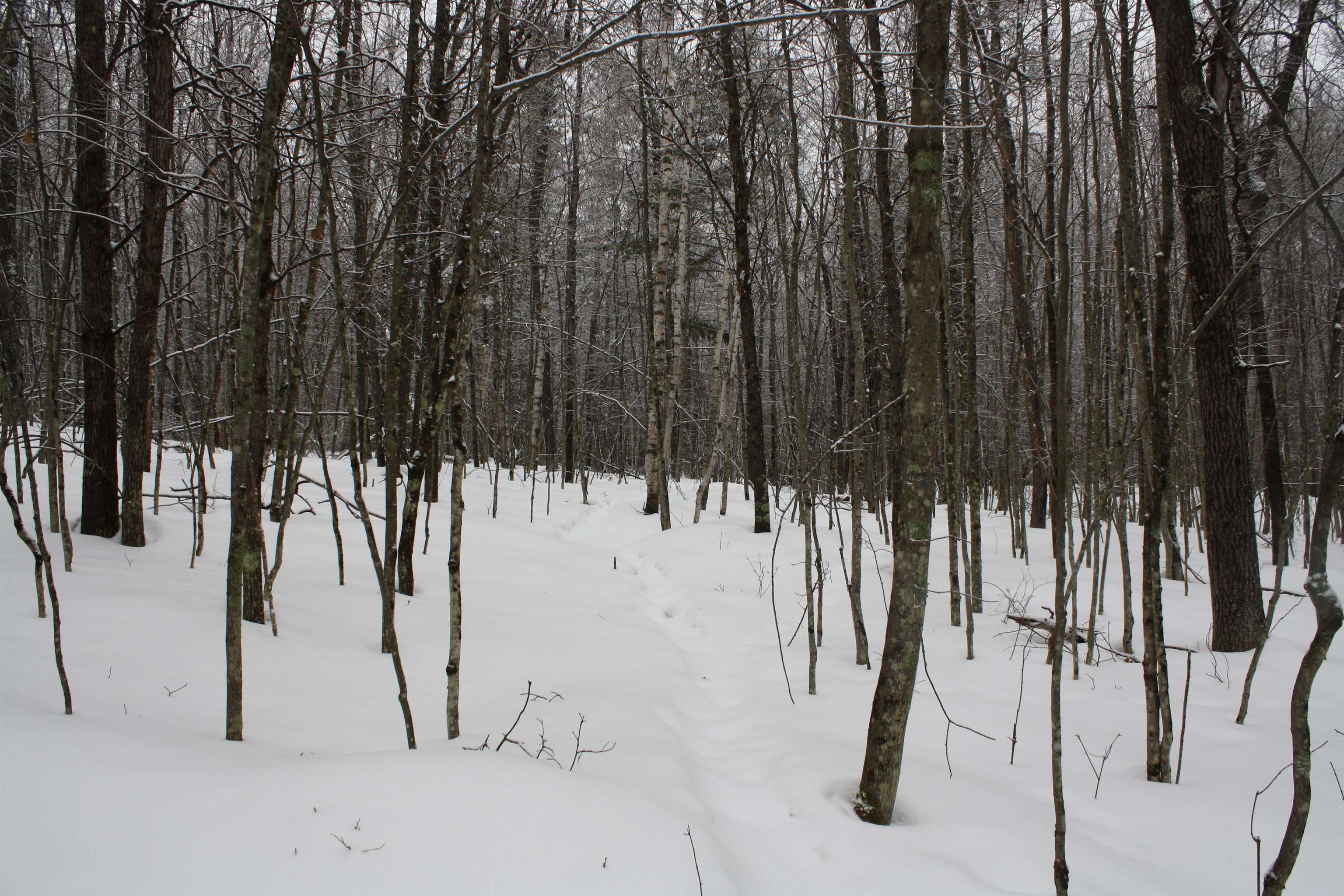 On W Rapids Lake Tomahawk, WI 54539 - Photo 13 of 56