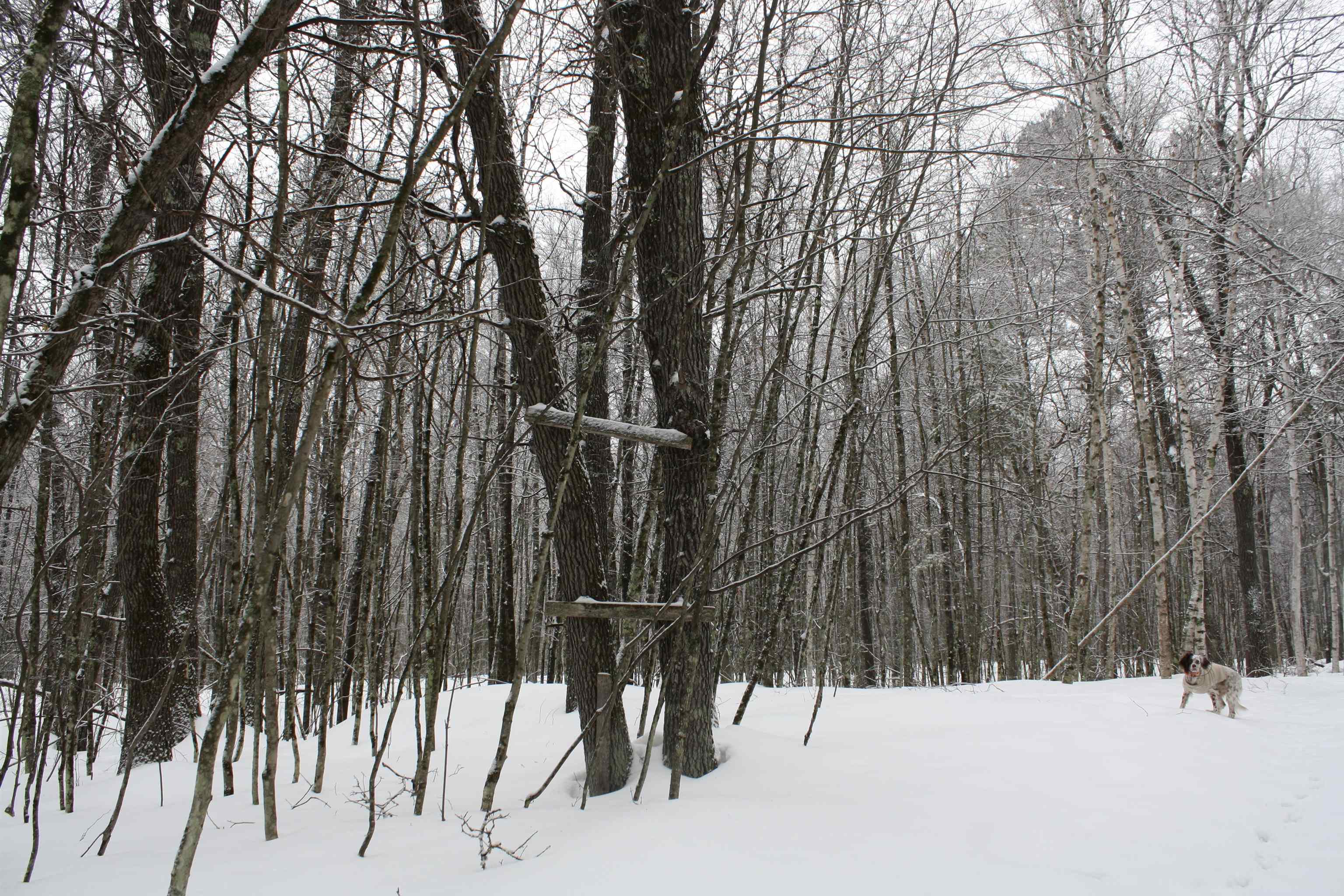 On W Rapids Lake Tomahawk, WI 54539 - Photo 14 of 56