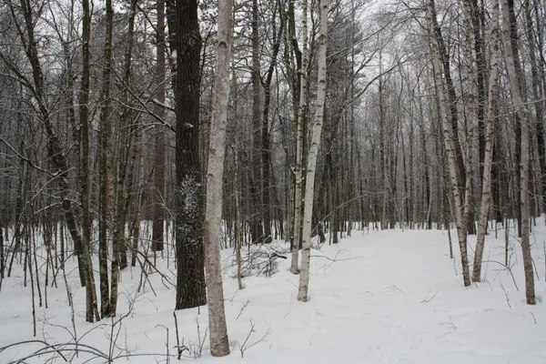 $600,000 | On W Rapids, Lake Tomahawk, WI 54539