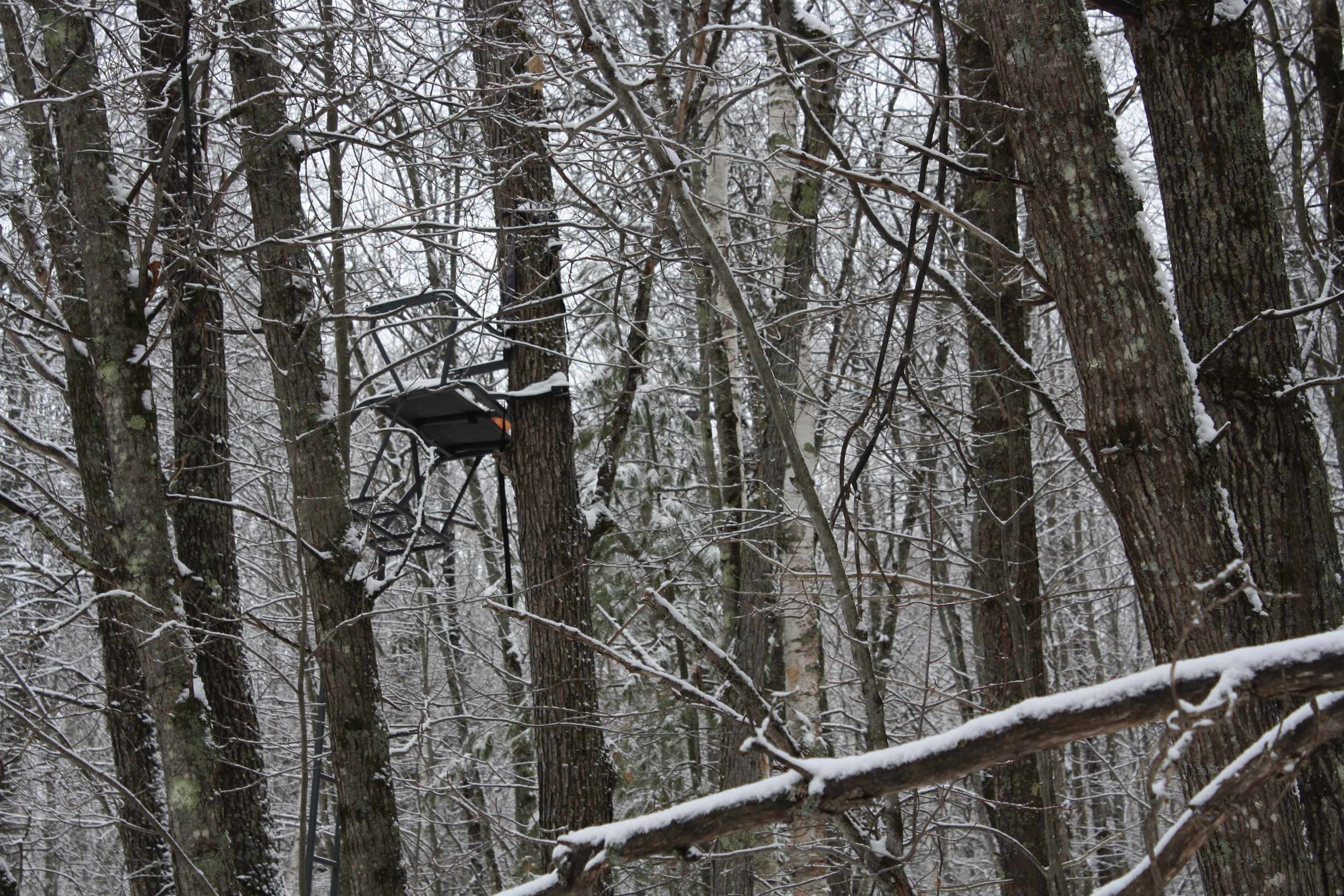 On W Rapids Lake Tomahawk, WI 54539 - Photo 17 of 56