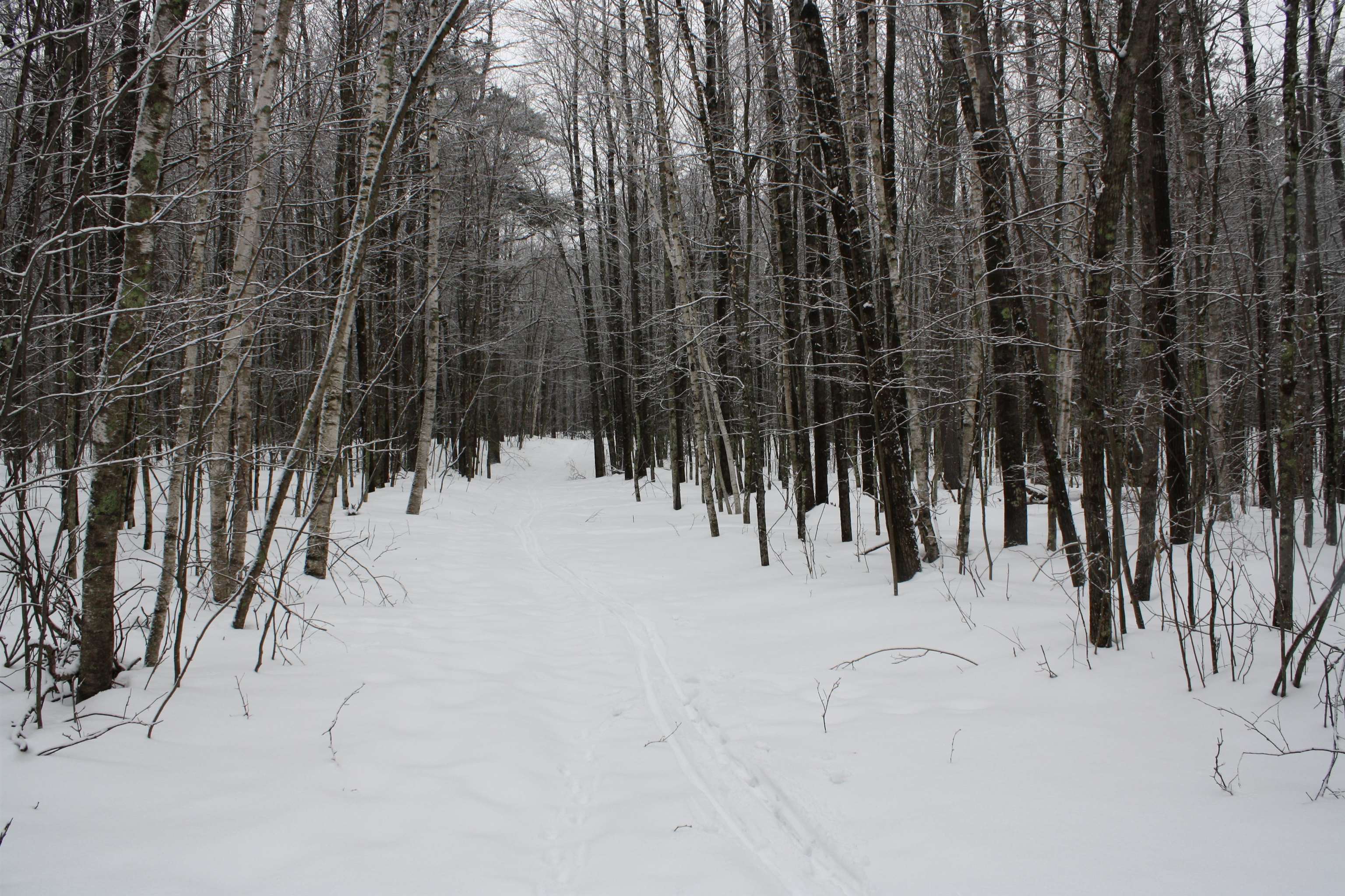 On W Rapids Lake Tomahawk, WI 54539 - Photo 18 of 56