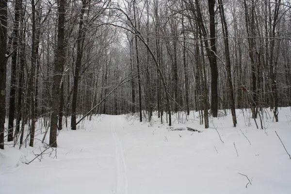 $600,000 | On W Rapids, Lake Tomahawk, WI 54539