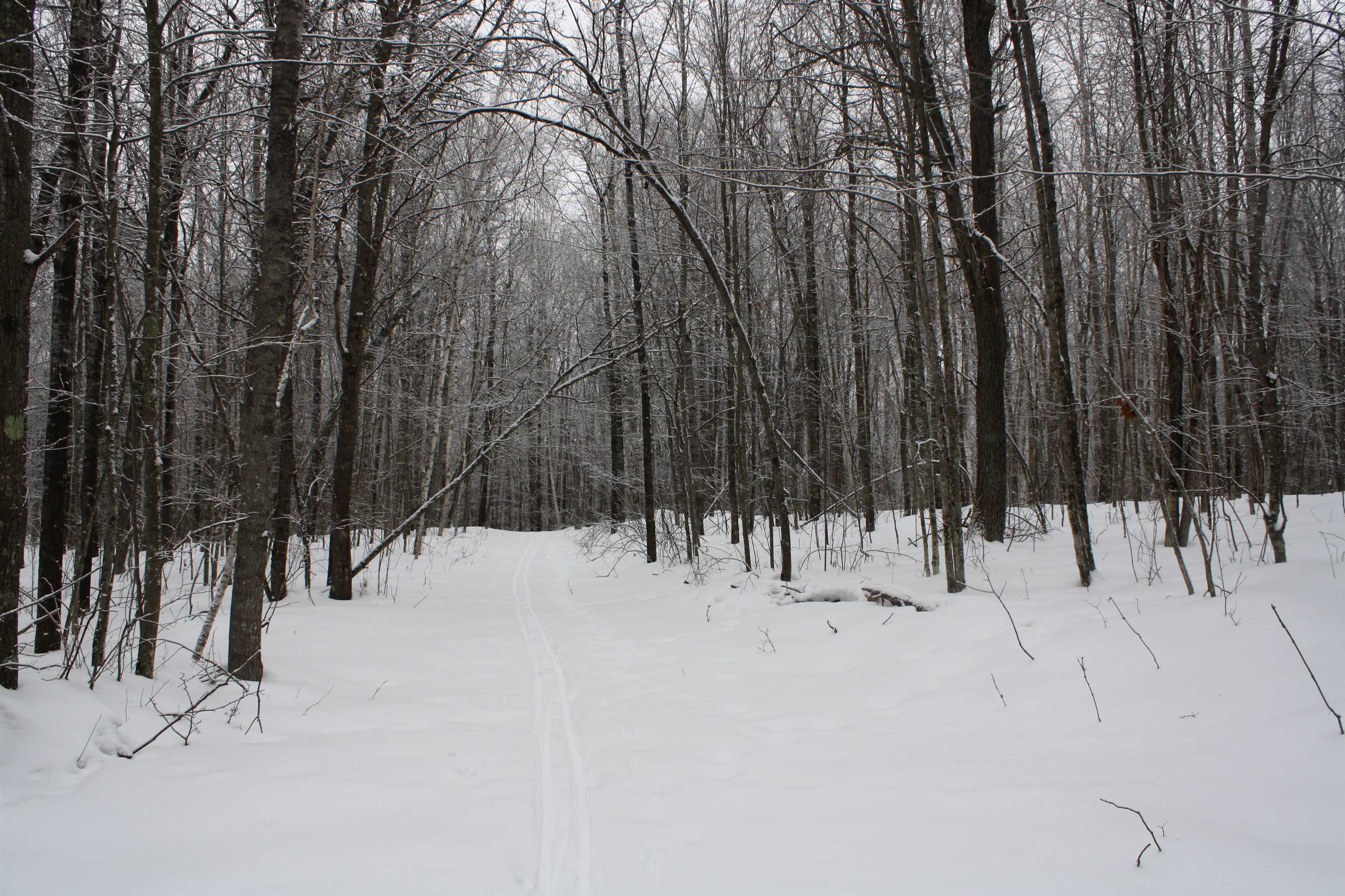 On W Rapids Lake Tomahawk, WI 54539 - Photo 19 of 56