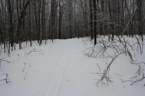 $600,000 | On W Rapids, Lake Tomahawk, WI 54539