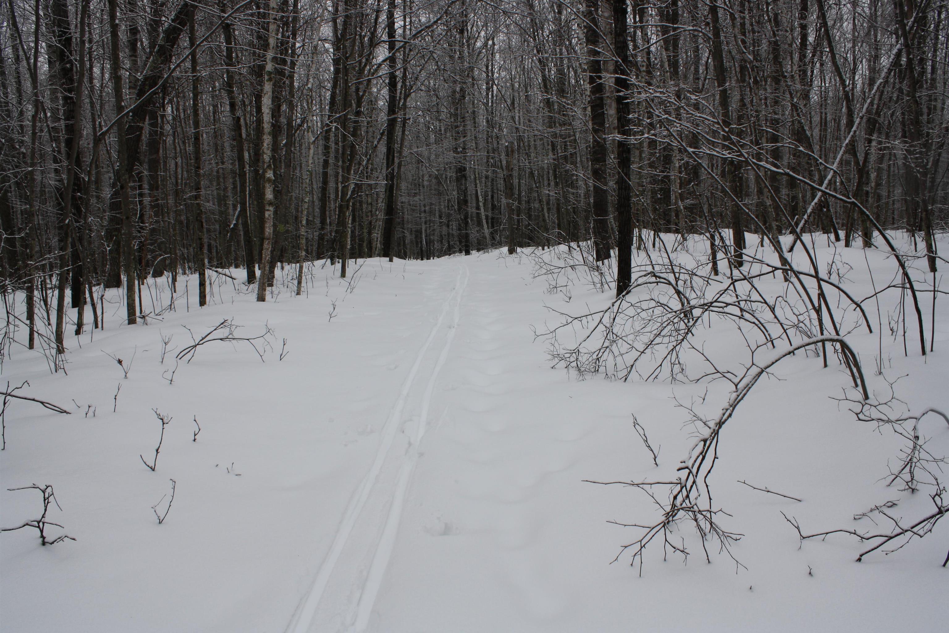 On W Rapids Lake Tomahawk, WI 54539 - Photo 20 of 56