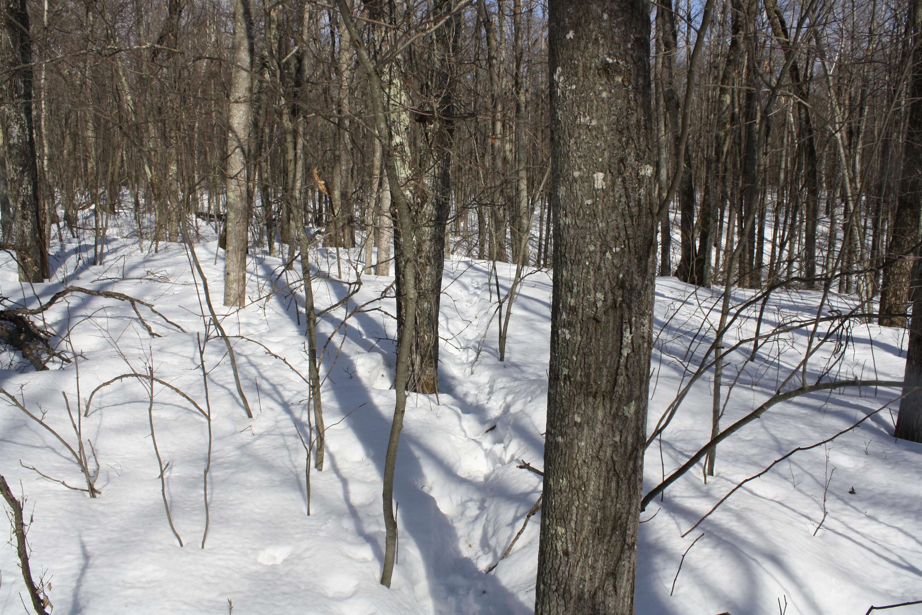 On W Rapids Lake Tomahawk, WI 54539 - Photo 2 of 56