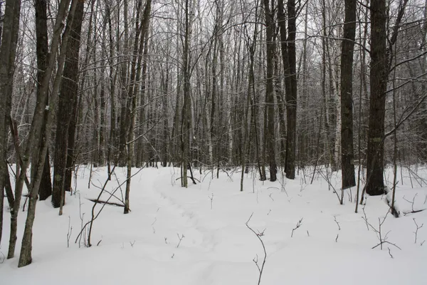 $600,000 | On W Rapids, Lake Tomahawk, WI 54539