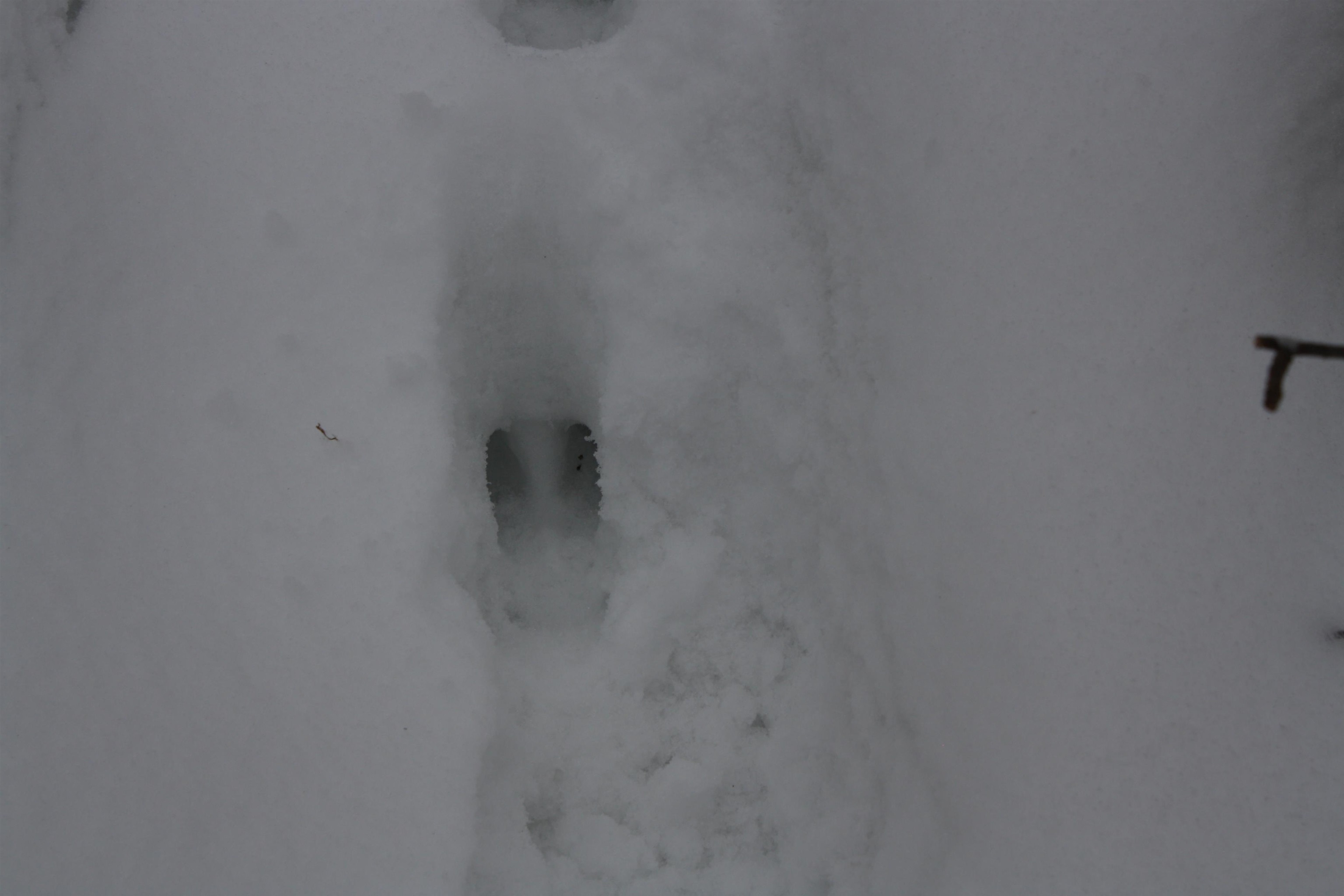 On W Rapids Lake Tomahawk, WI 54539 - Photo 22 of 56