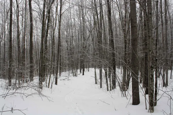 $600,000 | On W Rapids, Lake Tomahawk, WI 54539